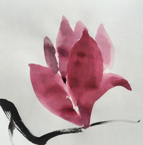 Delphine Geliot peinture lavis encre magnolia