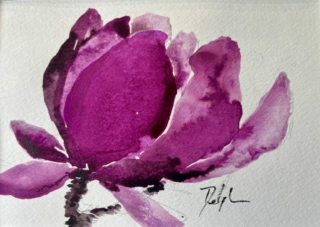 Delphine Geliot peinture lavis encre Magnolia