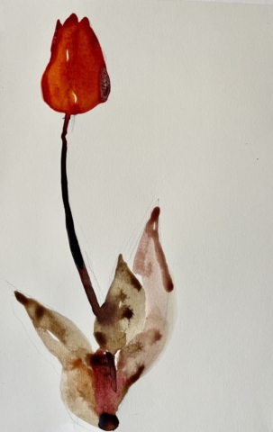 Delphine Geliot peinture lavis encre tulipe