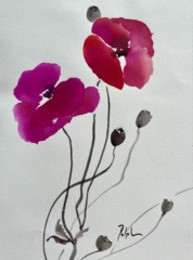 Delphine Geliot peinture lavis encre coquelicots