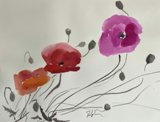 Delphine Geliot peinture lavis encre coquelicots