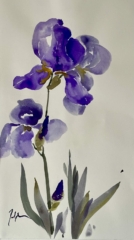 Delphine Geliot peinture lavis encre Iris