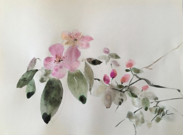 Delphine Geliot peinture lavis encre cerisiers en fleurs