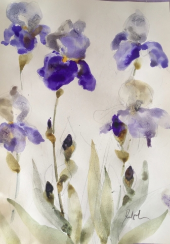 Delphine Geliot peinture lavis encre Iris