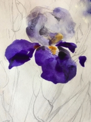 Delphine Geliot peinture lavis encre Iris