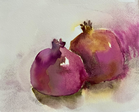 Delphine Geliot peinture lavis encre Pomegranate