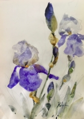 Delphine Geliot peinture lavis encre Iris